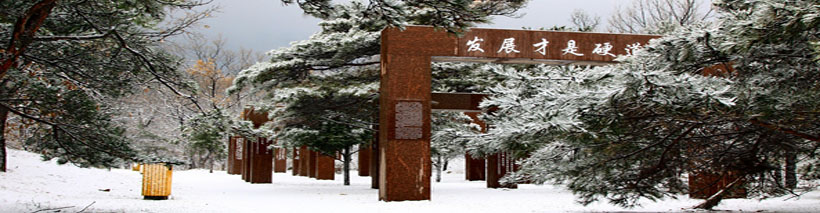 大连大学