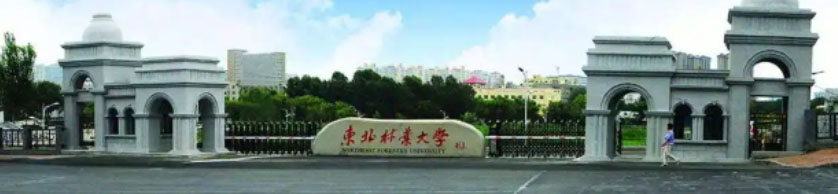 东北林业大学