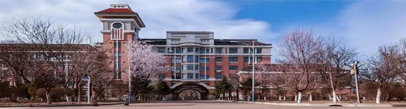 辽宁理工学院