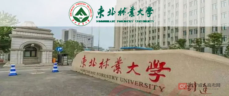 东北林业大学成人高考招生公告（招生简章）